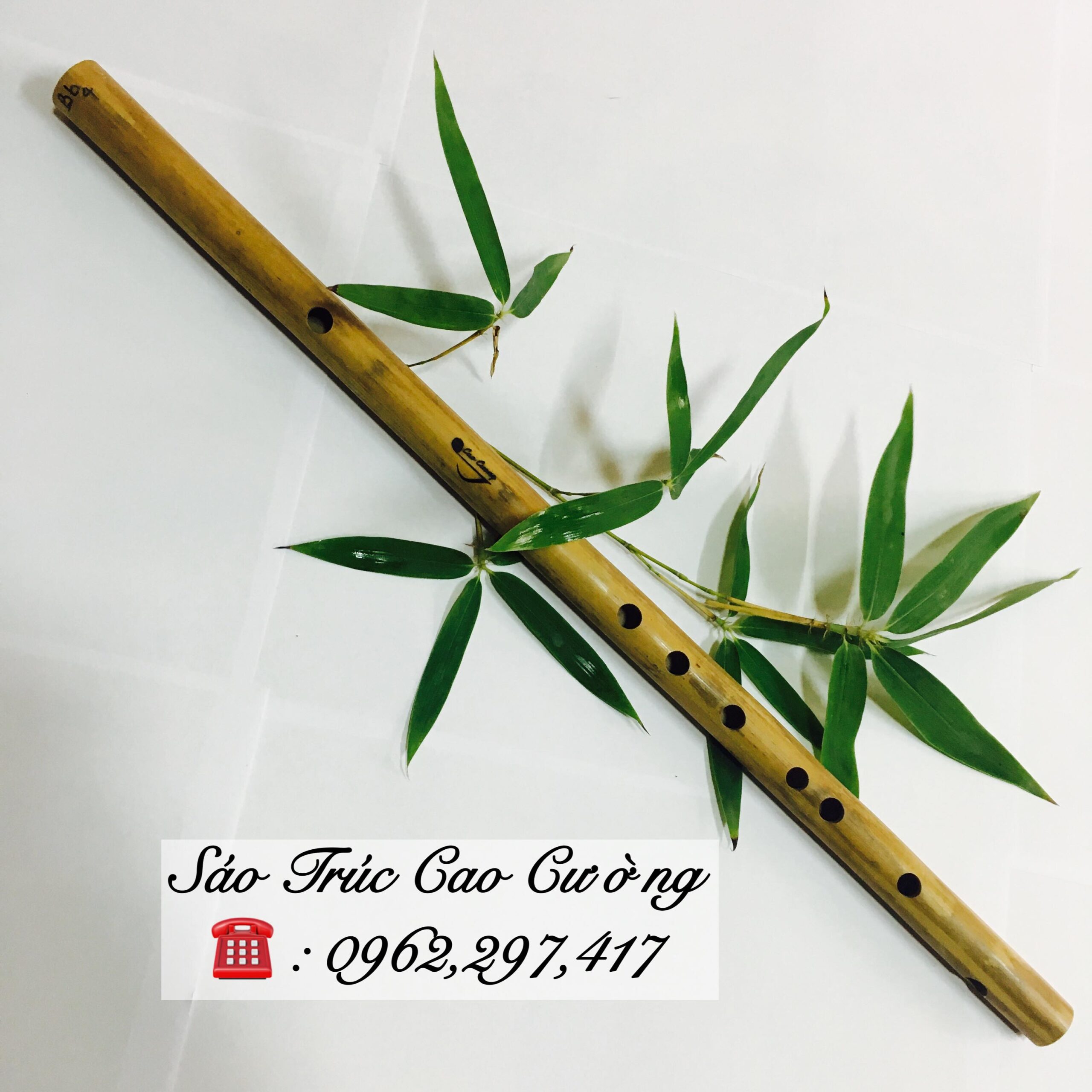 SÁO VIỆT NỨA BẮC ÂM CHUẨN